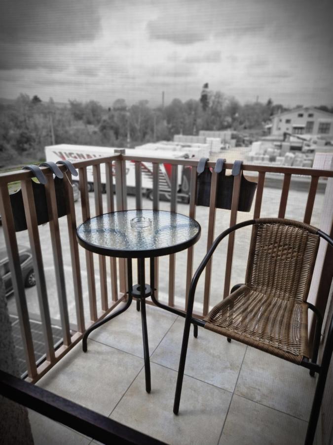 הוסטל Casa Vatra Rădăuţi מראה חיצוני תמונה